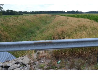 Property photo 9 - 41 +/- Acres Offered in 2 Tracts - Tillable Land & Building Site